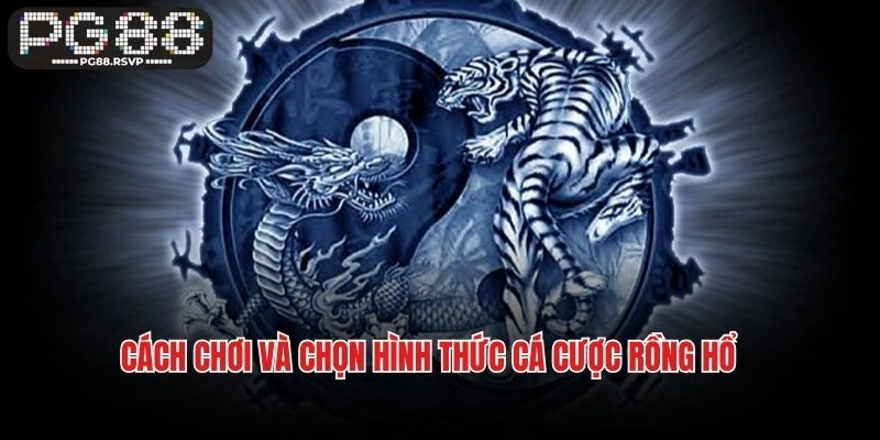 Cách chơi và chọn hình thức cá cược Rồng Hổ