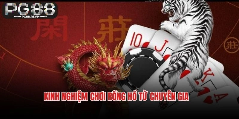Kinh nghiệm chơi Rồng Hổ từ chuyên gia