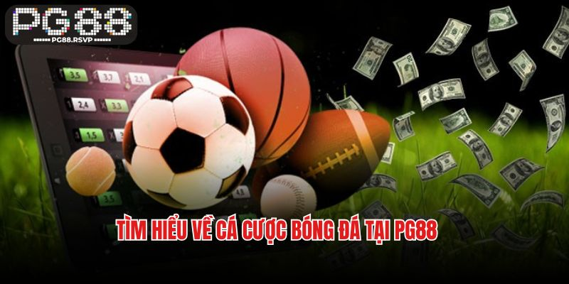 Tìm hiểu thông tin về trang cá cược bóng đá PG88