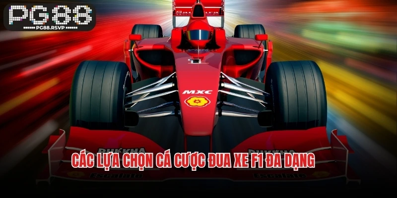 Các lựa chọn cá cược đua xe F1 đa dạng