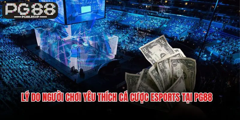 Lý do người chơi yêu thích cá cược Esports tại PG88
