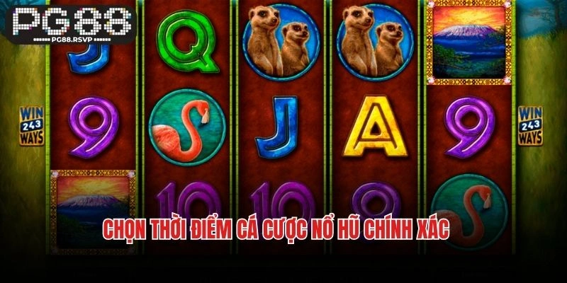 Chọn thời điểm cá cược nổ hũ chính xác