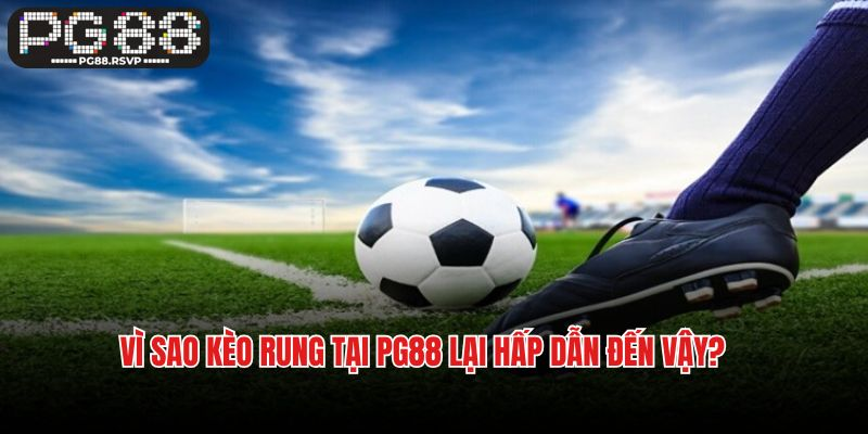 Vì sao kèo rung tại PG88 lại hấp dẫn đến vậy?