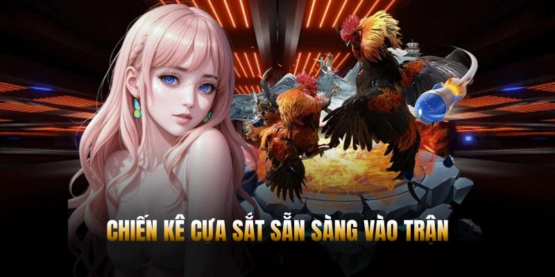ĐÁ GÀ PG88 – CẬP NHẬT TRẬN ĐẤU KỊCH TÍNH MỖI NGÀY 3 Chiến kê cựa sắt sẵn sàng vào trận